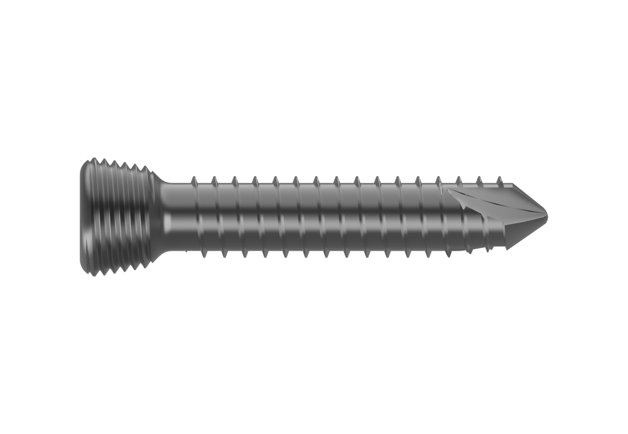 /storage/photos/1/madiha-ortho images/Screw/Locking screw/2.0 mm locking screw.png